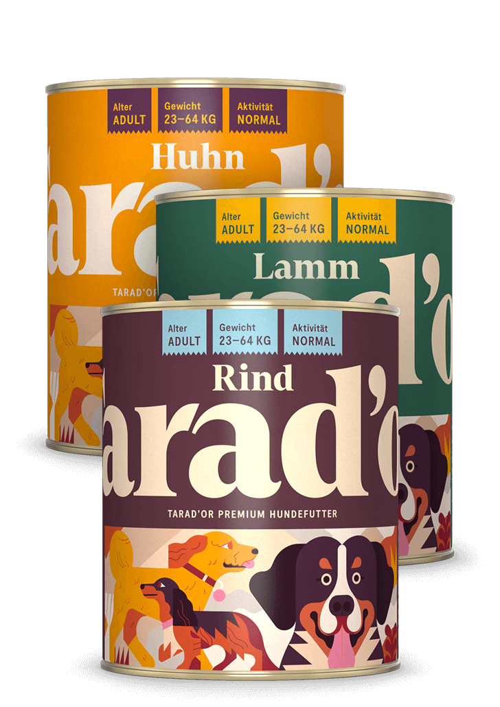 Probierpaket Bild drei Dosen Hundefutter - Probierpaket Pute Lachs Rind Tarador Hundefutter 400g für Senior Hunde - Huhn Lamm Rind 800g Probierpaket