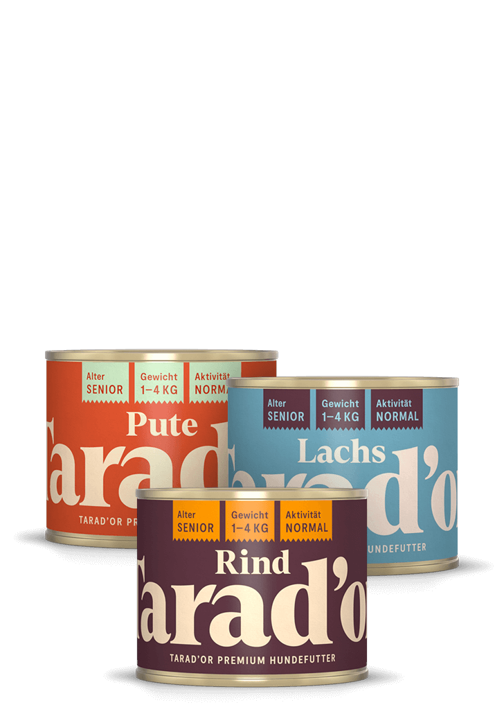Bild drei Dosen Hundefutter - Probierpaket Pute Lachs Rind Tarador Hundefutter 200g für Senio Hunde