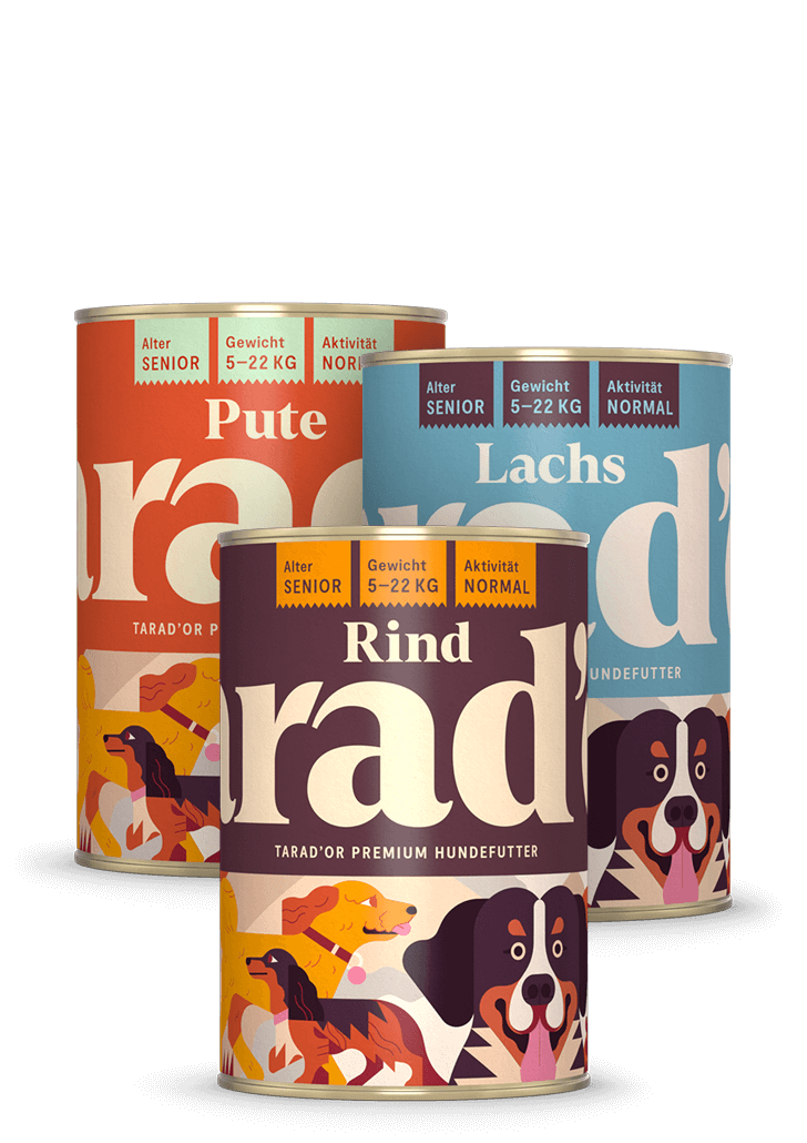 Probierpaket Bild drei Dosen Hundefutter - Probierpaket Pute Lachs Rind Tarador Hundefutter 400g für Senior Hunde - Pute Lachs Rind