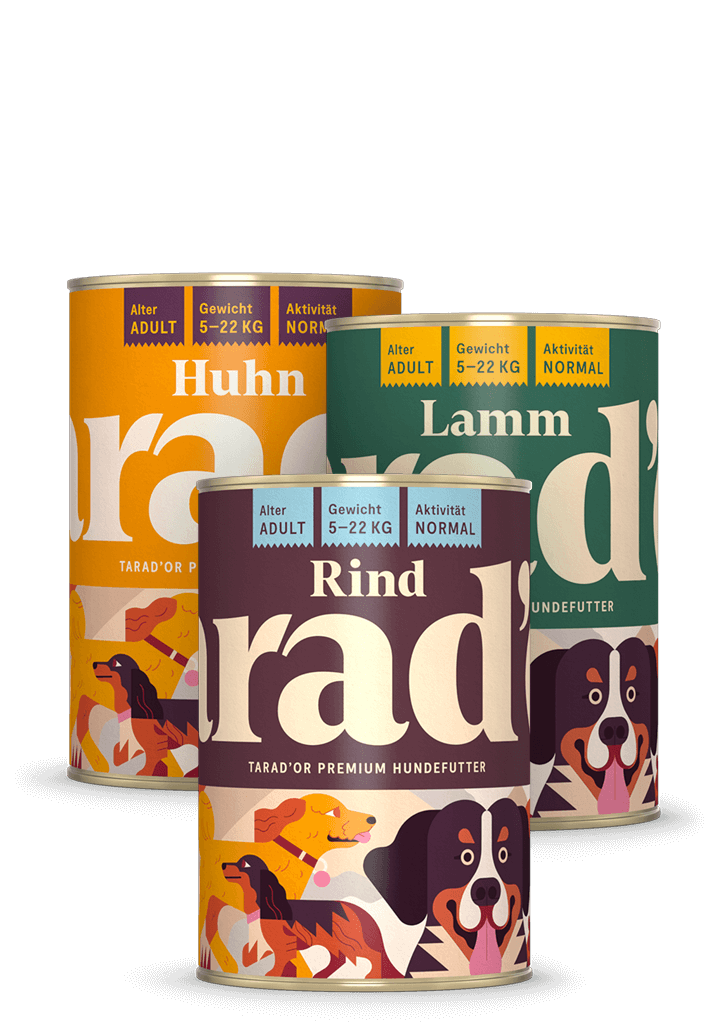 Probierpaket Hundefutter Bild drei Dosen Hundefutter - Probierpaket Pute Lachs Rind Tarador Hundefutter 400g 