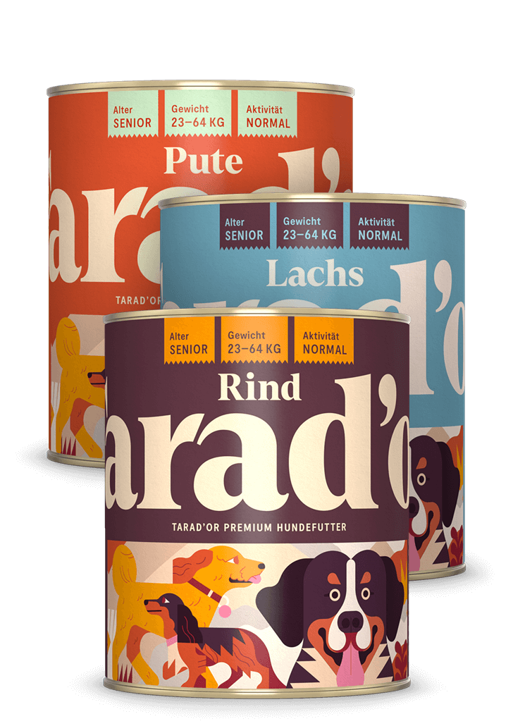 Probierpaket Bild drei Dosen Hundefutter - Probierpaket Pute Lachs Rind Tarador Hundefutter 400g für Senior Hunde - Pute Lachs Rind 800g Probierpaket