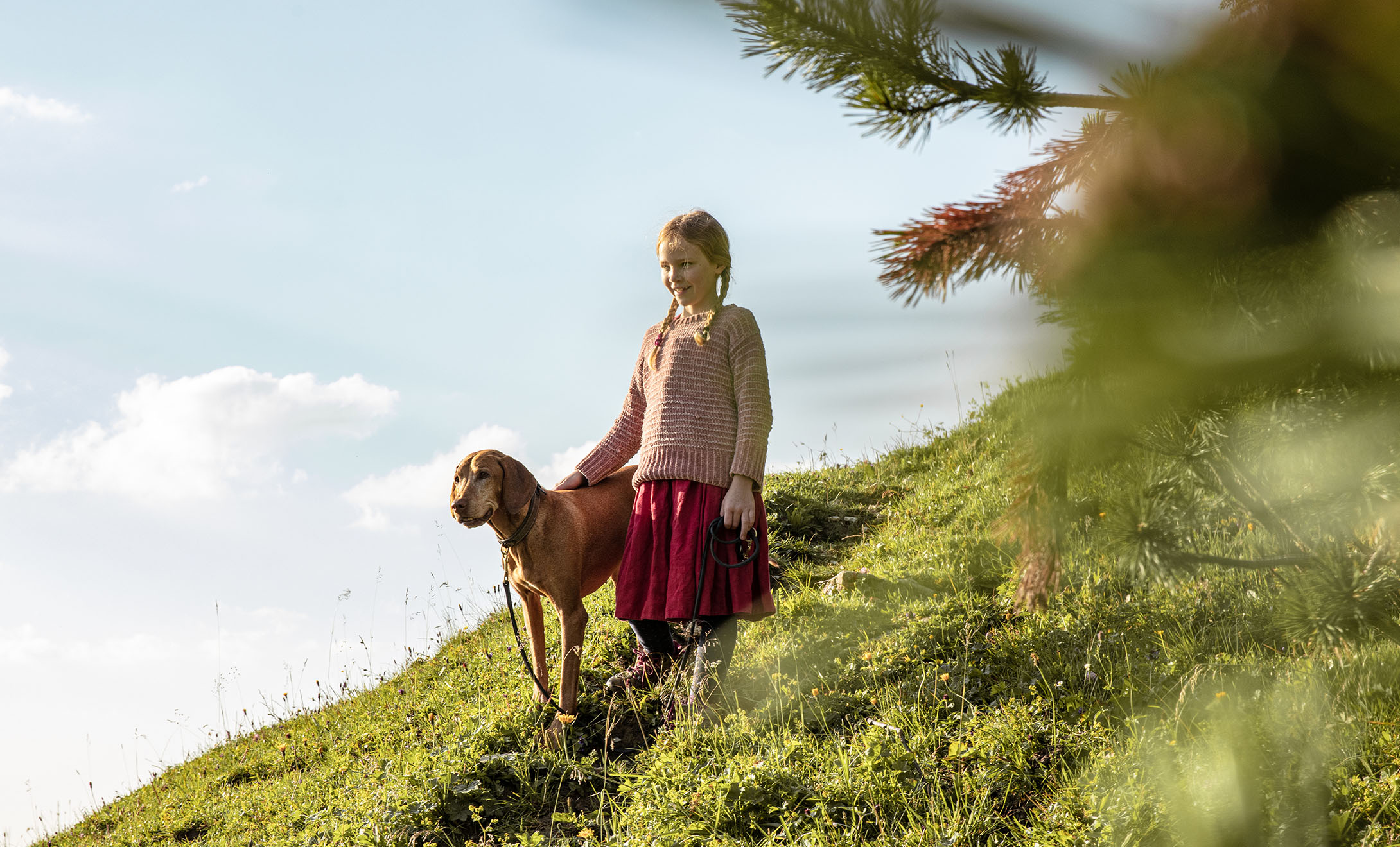 Bild kleines Mädchen mit Hund - Tarador Premium Hundefutter